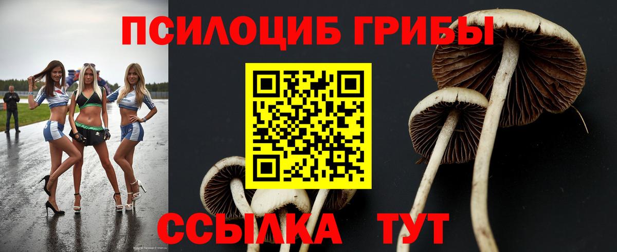 Галлюциногенные грибы Psilocybe Чусовой
