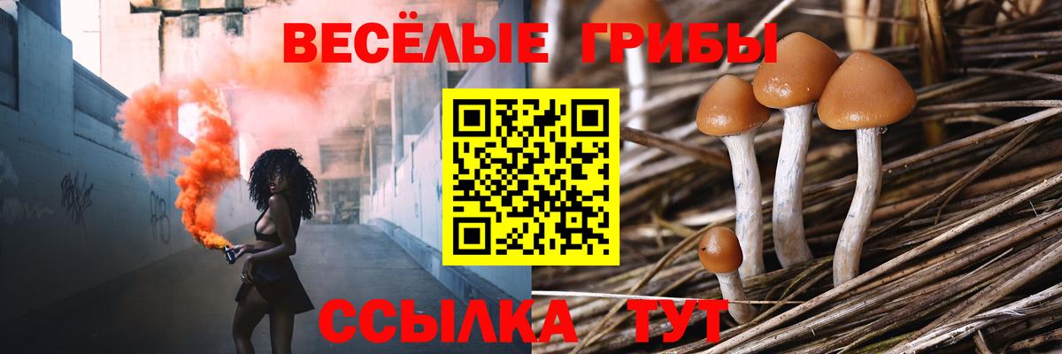 Псилоцибиновые грибы мицелий  Галлюциногенные грибы Cubensis  Чусовой  Вход с VPN 